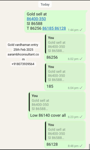Screenshot_20250225-211410