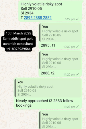 Screenshot_20250310-233810