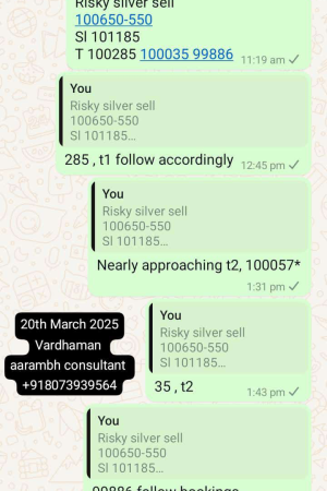 Screenshot_20250321-085839